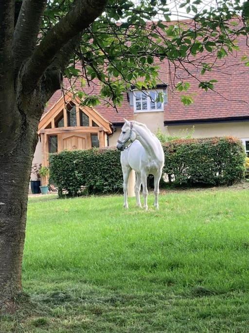2 Beds & Living In Our Idyllic Country Cottage Bedford Exteriör bild